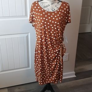 Brown Polka Dot Dress